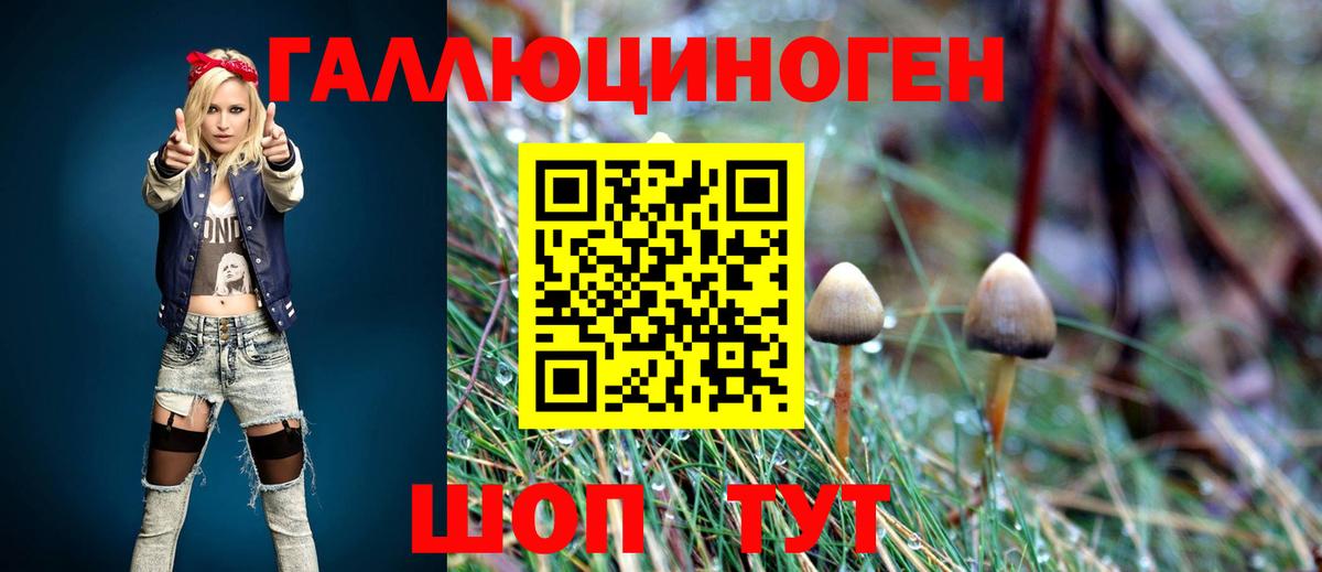 Галлюциногенные грибы Psilocybe Беслан